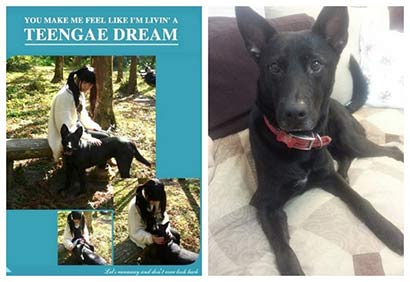 女孩遇4名歹徒被流浪狗救下_经常喂食获其报恩 女孩遇4名歹徒被流浪狗救下_经常喂食获其报恩