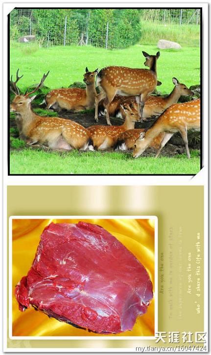 第一号杀手:肉 第一号杀手:肉