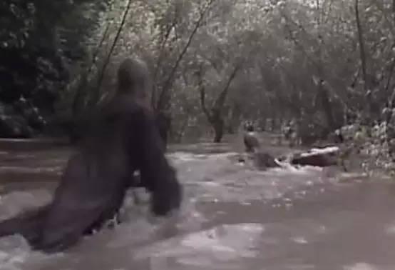 ��������ʷ_ɮ����"�Ⱥ�"�ž�Ԯ����������