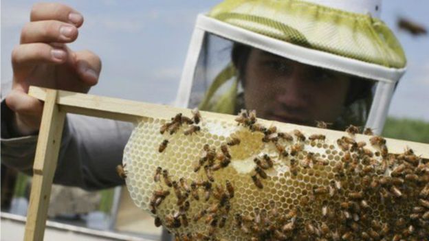 �о��Ƶ�������һ�֡������ʱ�ڡ��������׵����