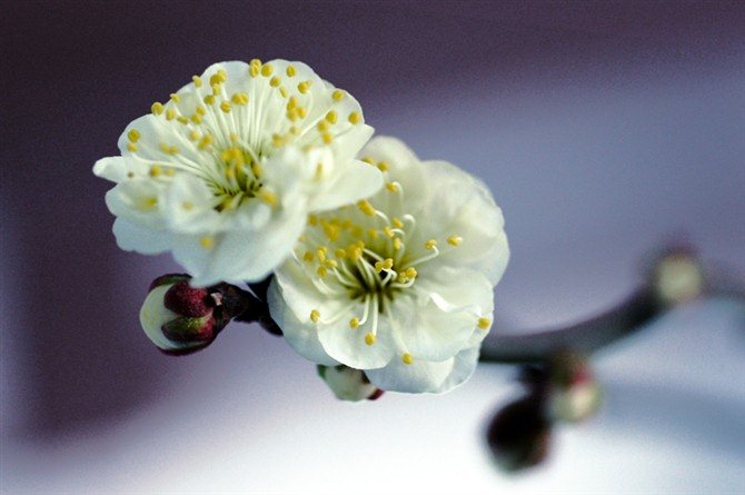 炒股所赚之钱充满怨气,也沾满了股民血淋淋的鲜血 炒股所赚之钱充满怨气,也沾满了股民血淋淋的鲜血