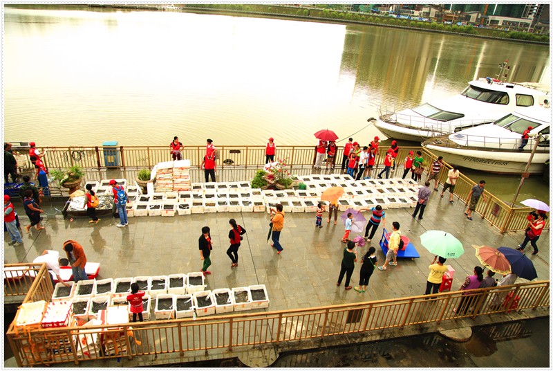 һ��ũ��С���ӷ���ϲ���Ʊ�