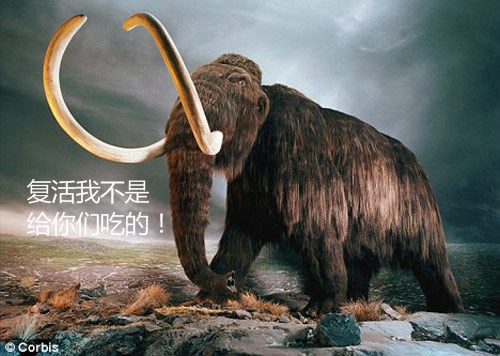 屡禁不止“僵尸凤爪”:吃得一时爽 吃完火葬场