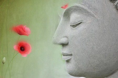 ���������Ů����Ч