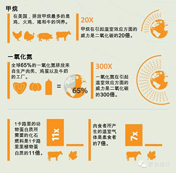 触目惊心9组数据_告诉你饮食与环保的关系 触目惊心9组数据_告诉你饮食与环保的关系