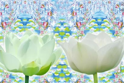 ���ƴ�ʦ������֮�俼����ȫ_��˼����Ī���ź�