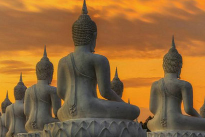 在轮回中获得人身_犹如昙花一现 在轮回中获得人身_犹如昙花一现