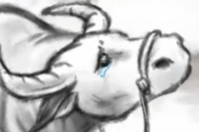 �������ز�������_�̰���ʶ�������