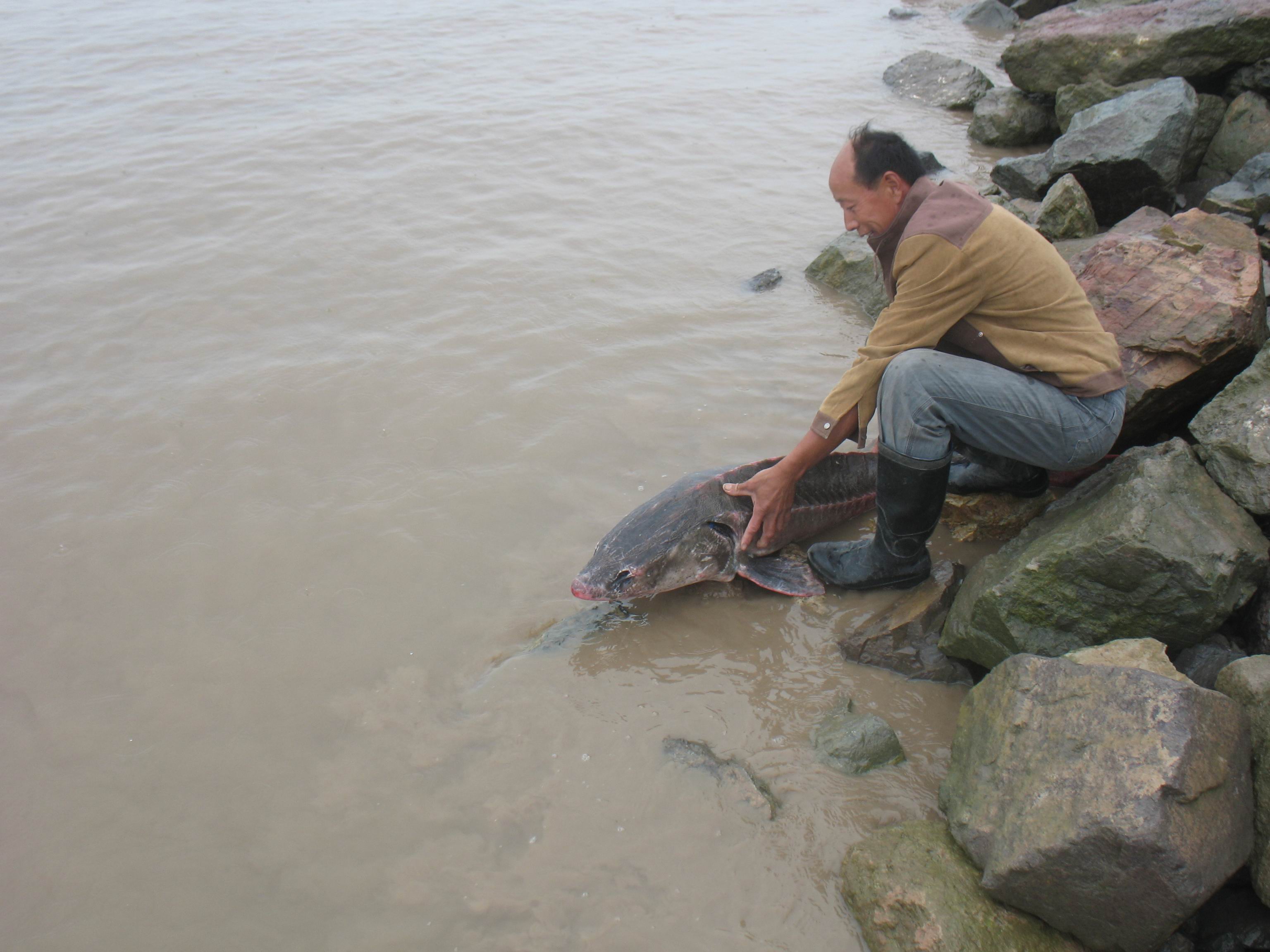 ������ȱ�������ֱ���ڷ���������������