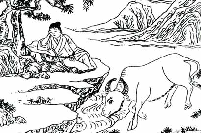 七岁神童虎口丧命_转世轮回精通佛经 七岁神童虎口丧命_转世轮回精通佛经