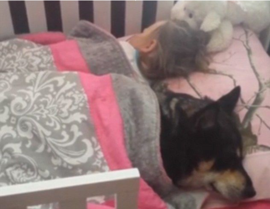 ���������ػ�Ӥ������������˯������ܰ