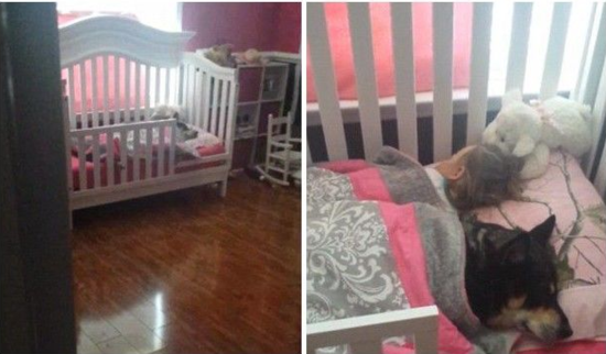 ���������ػ�Ӥ������������˯������ܰ