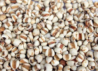 �ļ��岹_Ӧ�ö���⡰������