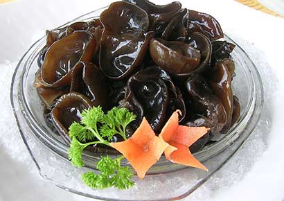 �ļ��岹_Ӧ�ö���⡰������