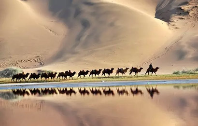 �����ĸ��_ĸ����Ů��ʬ�尧��������ȥ