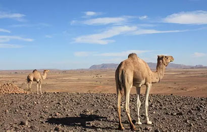 �����ĸ��_ĸ����Ů��ʬ�尧��������ȥ