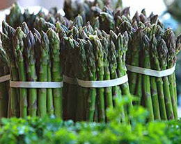 对于7种常见癌症_这些就是它们的“克星” 对于7种常见癌症_这些就是它们的“克星”