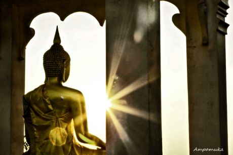 Ů������Ӧע�������