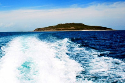 ���ͷ�ʦ���޳��ɾ����䳣̬_���ҹ������ҡ�֮����