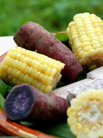 吃素到底有没有营养?看完这个你就知道了 吃素到底有没有营养?看完这个你就知道了