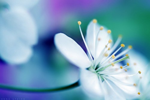 ΢Ц�����������ʹ��Ϳ���