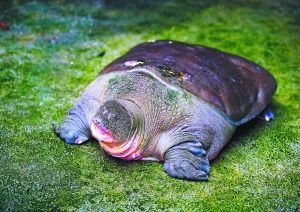 �Դ����Ÿ���,_���˵�������