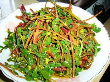 �벻���ɣ�������4������۵Ĳ˾��ǳ��ٲ�