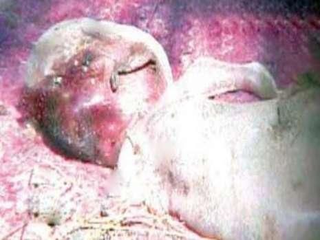 津巴布韦惊现人形山羊怪胎 津巴布韦惊现人形山羊怪胎