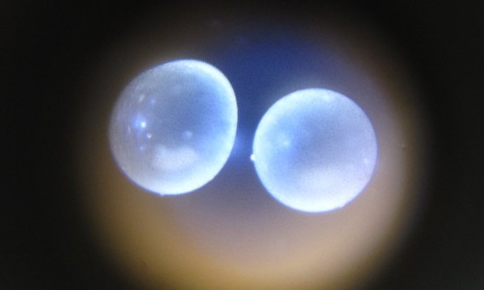 �׼�һ������ƾ������ʮ����������Ȼ������ţ�