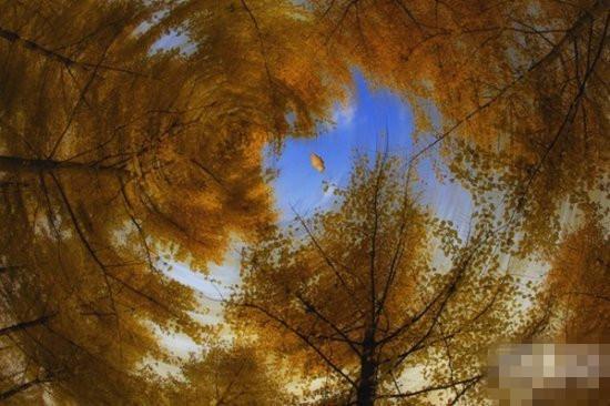 鬼魂真的没有影子:人死后灵魂的详细经历(图) 鬼魂真的没有影子:人死后灵魂的详细经历(图)