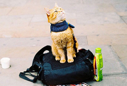 һֻè������������������_�����������ġ���