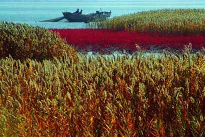 少年巧救母子五人_现世改命福寿双全 少年巧救母子五人_现世改命福寿双全