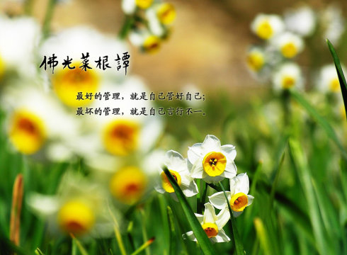 ���Ʒ�ʦ������Ǯ������Խ�࣬׬��Խ��