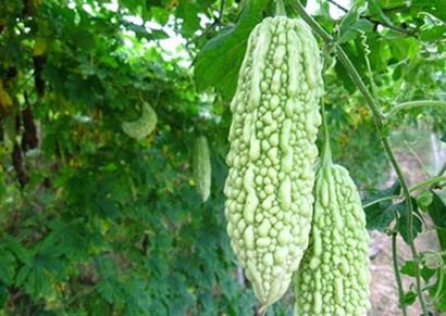 ������˥�ϣ�����10������ܾ�����Щ�߲���