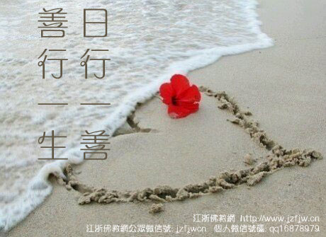 圣凯法师:佛教的神圣性体现在戒律中 圣凯法师:佛教的神圣性体现在戒律中