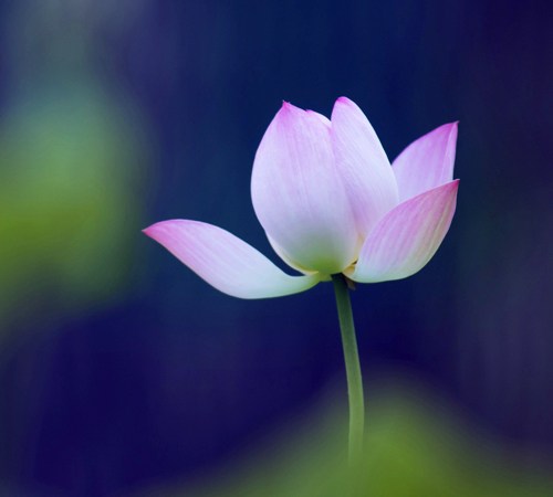 ���뽡�����٣�һ��Ҫ�ĳ�������