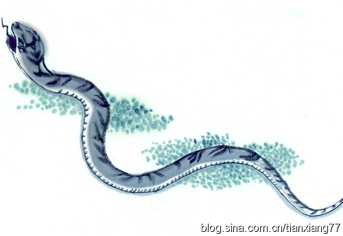 一村庄八名中青年离奇死亡的因果 一村庄八名中青年离奇死亡的因果