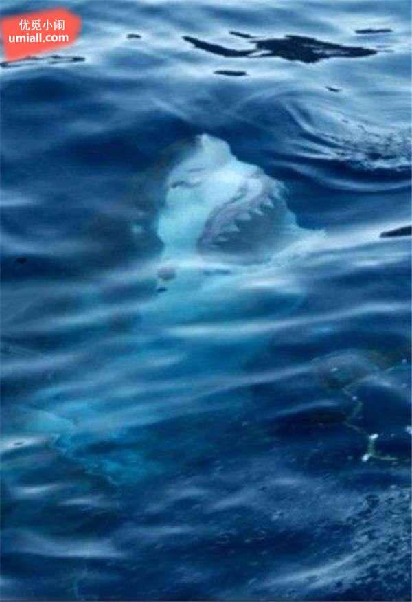 26张未曾修过图的恐怖老照片,背后藏着恐怖的故事 26张未曾修过图的恐怖老照片,背后藏着恐怖的故事