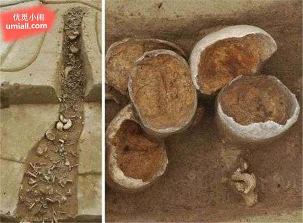 26张未曾修过图的恐怖老照片,背后藏着恐怖的故事 26张未曾修过图的恐怖老照片,背后藏着恐怖的故事