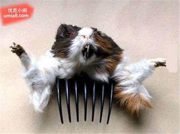 26张未曾修过图的恐怖老照片,背后藏着恐怖的故事 26张未曾修过图的恐怖老照片,背后藏着恐怖的故事