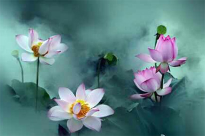 ��ɮ���򲻼� �ϱ�������������