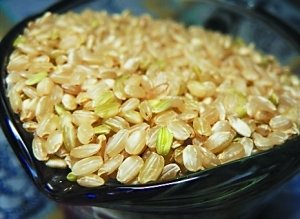 ��ʳ������5����ʳʤ������