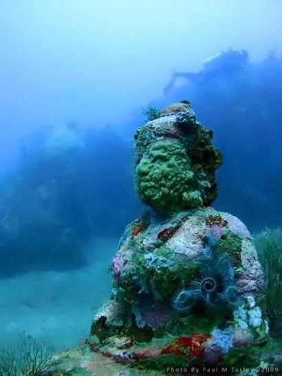 �����и��ˣ���ȱ���ӡ�ả���֡����׷𶼡���ͼ����