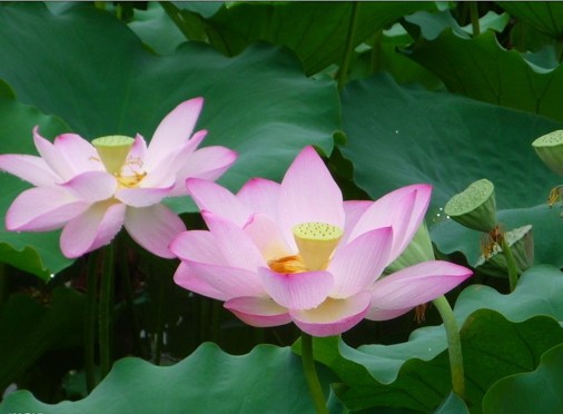 �����κ��Ƿǣ������뵽�����Լ��Ĵ�