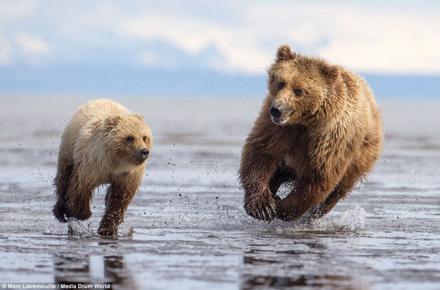 ʵ�Ķ����ĸ��