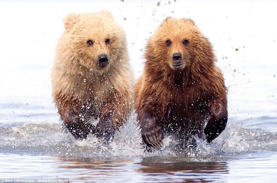 ʵ�Ķ����ĸ��