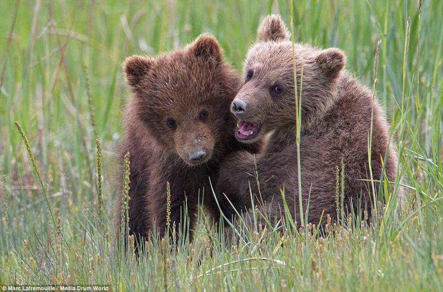 ʵ�Ķ����ĸ��