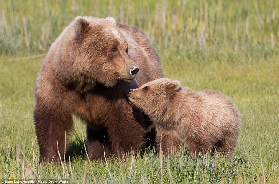 ʵ�Ķ����ĸ��