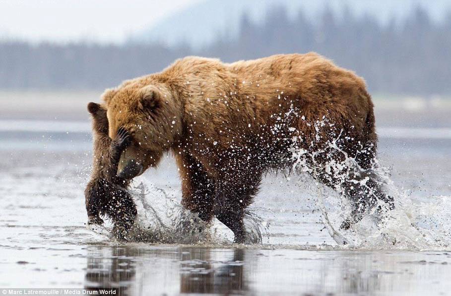 ʵ�Ķ����ĸ��