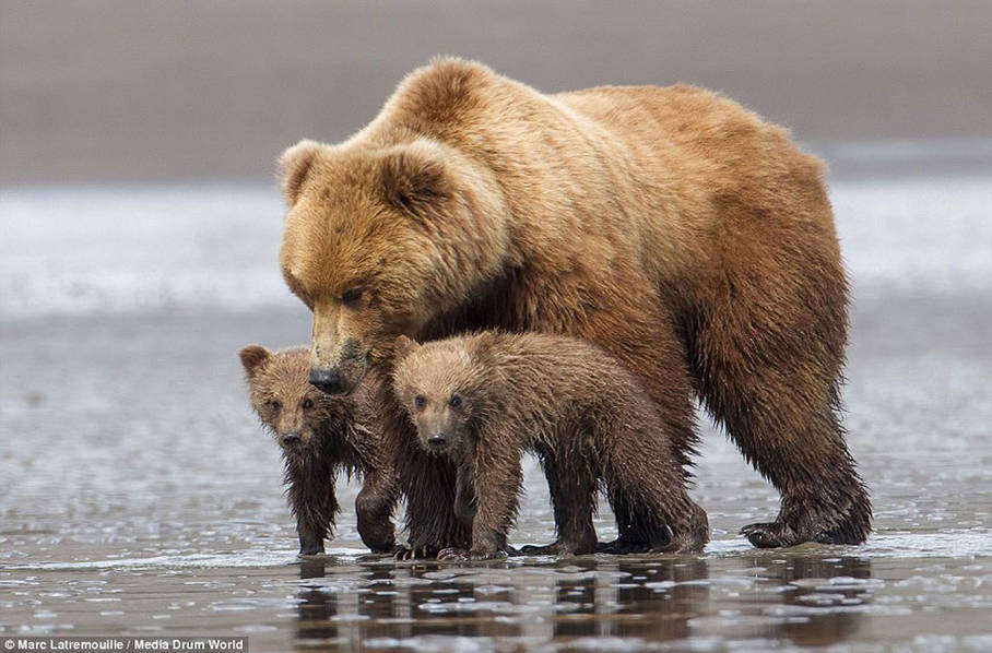 ʵ�Ķ����ĸ��